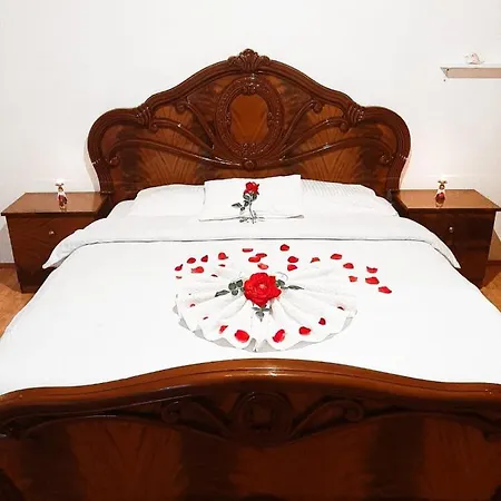 Holiday home Vila Dragisic