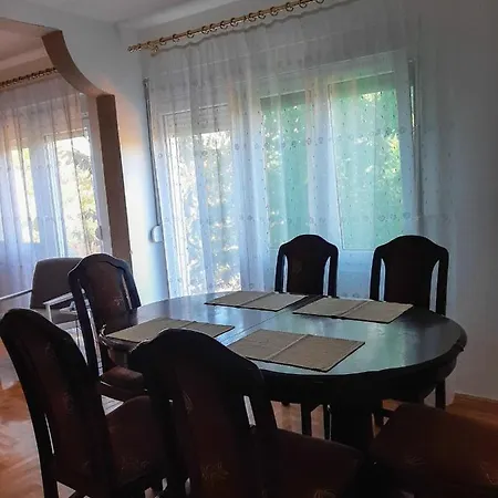 Vila Dragisic Holiday home